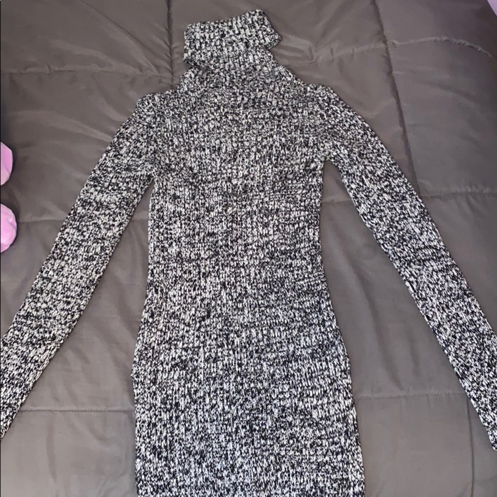 Long/Form-Fitting Black & White Turtleneck Sweater